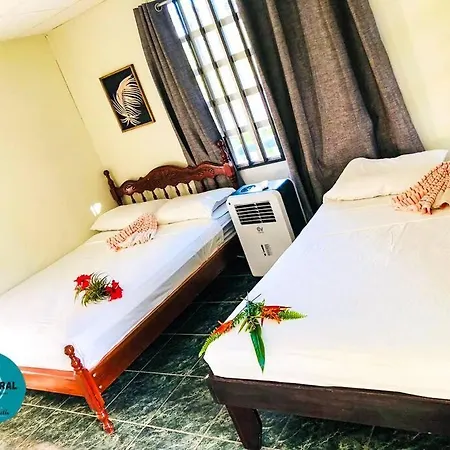 Le Central - Beach Hostel Vibe - Groups Uvita Exterior photo