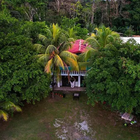 Le Central - Beach Hostel Vibe - Groups Uvita Exterior photo