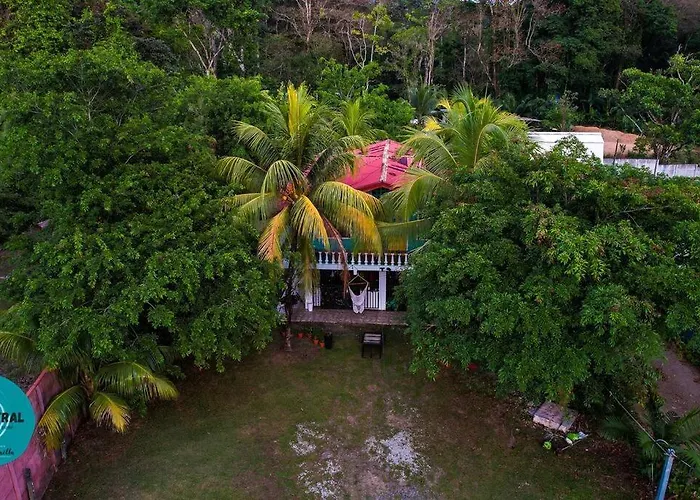 Le Central - Beach Hostel Vibe - Groups